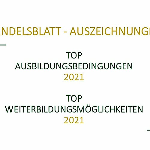 Handelsblatt - Top Ausbildungsbetrieb 2021